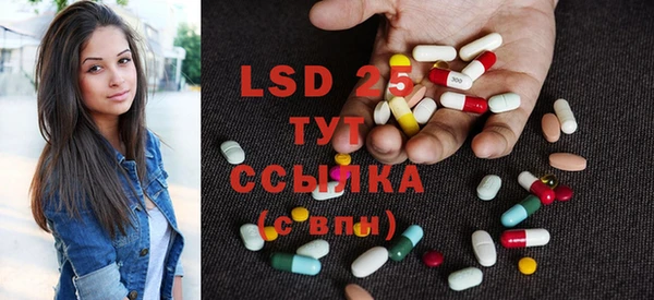 прущие грибы Апатиты