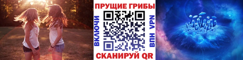 Галлюциногенные грибы Cubensis  hydra ТОР  Светлый 